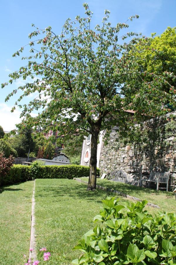 Cherryhome Arizzano Dış mekan fotoğraf